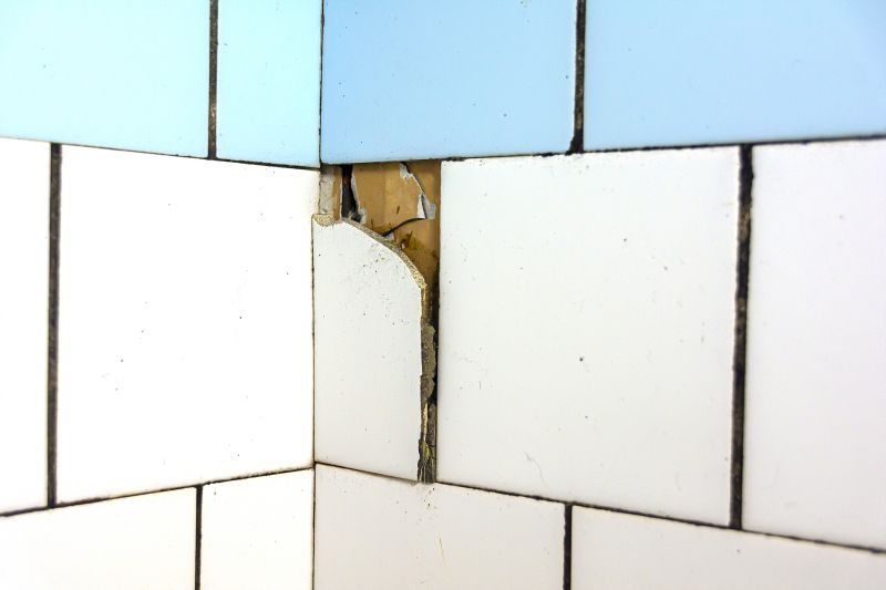 Cracked Tile Replacement